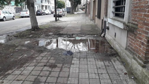 "Hice ocho reclamos": Una vecina de La Plata denuncia una pérdida de agua desde hace un mes