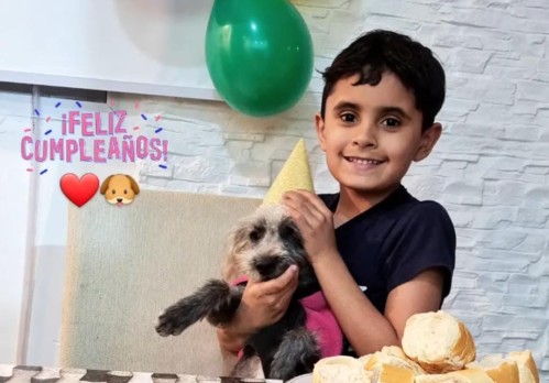 Organizó el cumpleaños de su perro "Misterio" y enamoró a todos: "Me encanta cuando los padres apoyan las ideas de los niños"