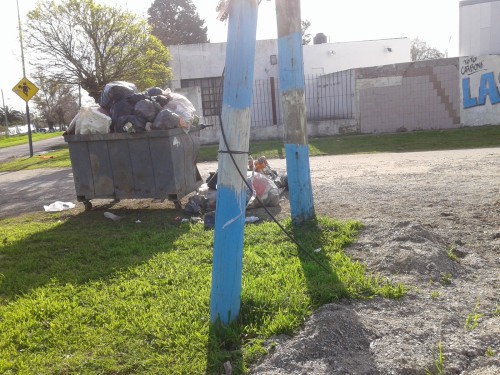 Dos postes inclinados y caballos comiendo en un contenedor rebalsado: la queja de un vecino de Arturo Seguí