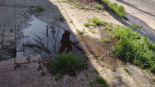"Ocupa toda la vereda": Vecinos de la Loma piden que arreglen una pérdida de agua "gigante"