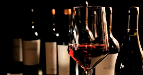Se subastarán más de mil botellas de vino de lujo en Argentina: ¿Cómo participar?