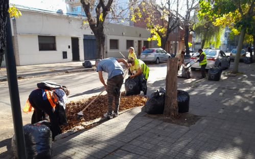 La Municipalidad de La Plata continúa con los operativos de limpieza de hojas en la Ciudad