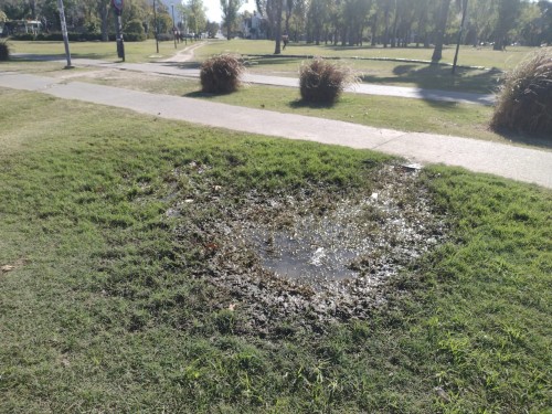 "Es un charco gigante": Piden que arreglen una pérdida de agua en el Parque Alberti de La Plata