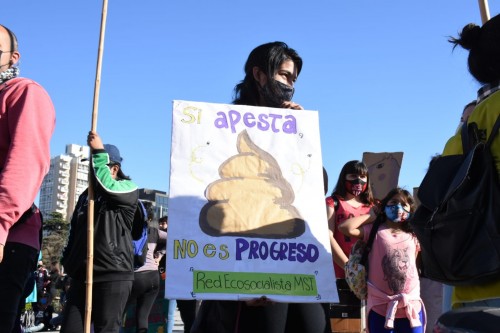 La “marcha del carpincho”: en Plaza Moreno harán una movilización con múltiples reclamos ambientales