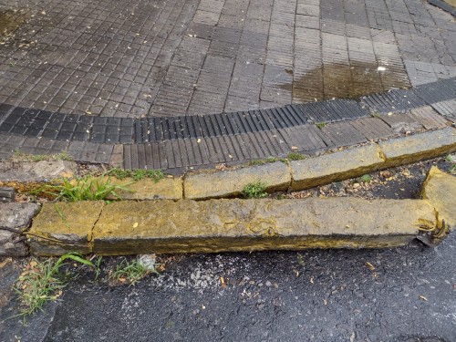 "No puedo cruzar la calle": Se rompió el cordón de la vereda en La Plata y nadie lo arregla