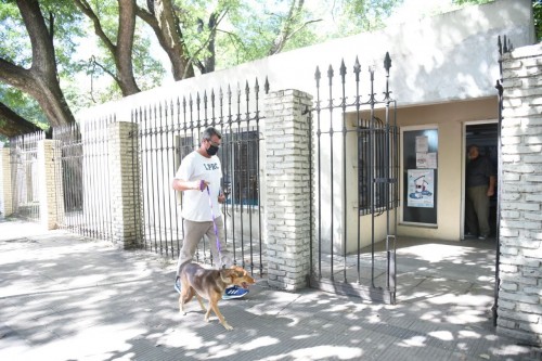 Castraciones gratuitas en La Plata: ya funciona el nuevo Centro de Salud Animal y Zoonosis