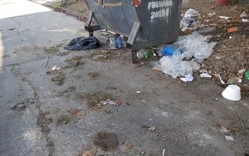 Vecinos de 71 y 26 reclamaron por el estado de un basural repleto de desperdicios: "Es vergonzoso"