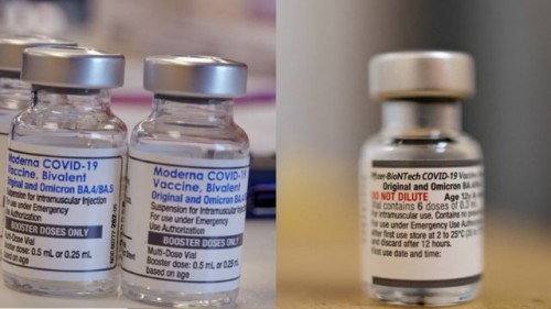 ¿Quiénes podrán recibir las vacunas bivalentes que se suman como refuerzo para combatir el Covid-19?