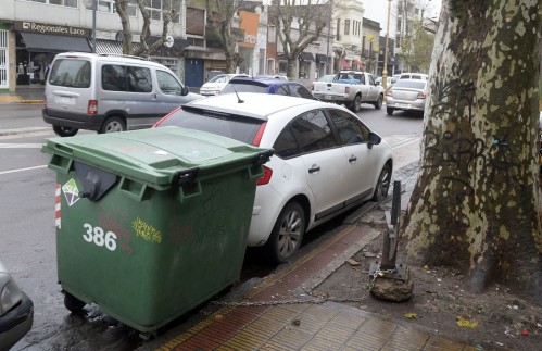 Se colocarán en La Plata más de 1000 contenedores de basura para tener "una ciudad más limpia y ordenada"