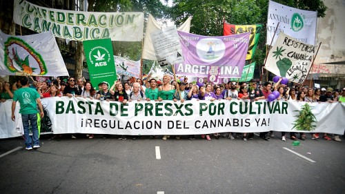 Cannabis medicinal: el Frente de Todos busca debatir el proyecto