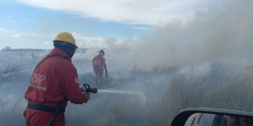Un gran incendio forestal tuvo lugar en La Plata: "Se quemaron entre 5 y 6 hectáreas"