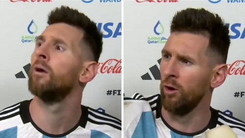 El falso decreto nacional que circula en las redes y que hace alusión a la frase de Messi: "Qué mira bobo"