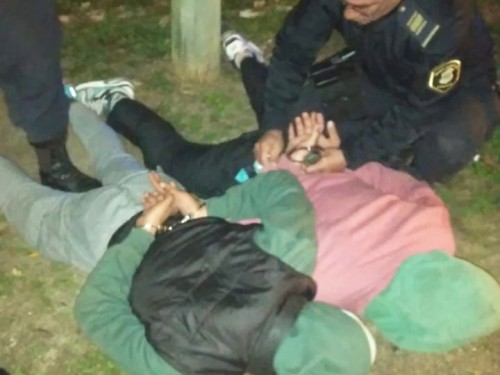 Con un arma trucha, robaron a una mujer en La Plata y los atraparon mientras se repartían el botín