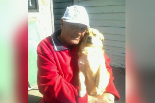 Su padre falleció, su perro se deprimió y desapareció en La Plata