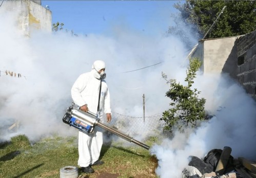 Ya se reportaron 48 víctimas fatales por dengue en Argentina y se alcanzó una cifra récord