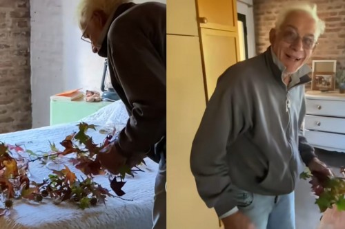 El nono romántico: un abuelo fue filmado mientras decoraba la cama de su mujer para recibirla y enterneció a todos