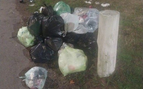 Vecinos de Gonnet se indignaron por un amontonamiento de basura "que nadie retira"