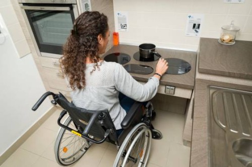 El Gobierno aprobó el modelo BID para financiar el Programa de Apoyo a la Inclusión Social de las Personas con Discapacidad