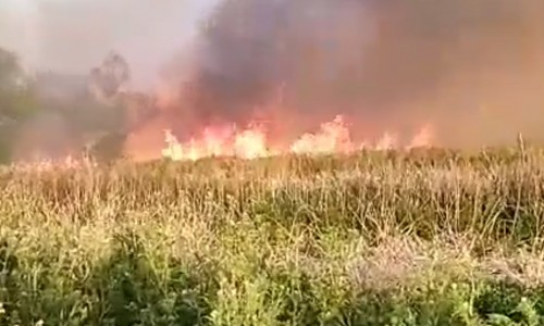 Importante incendio en pastizales de Berisso: el fuego se pudo ver desde La Plata