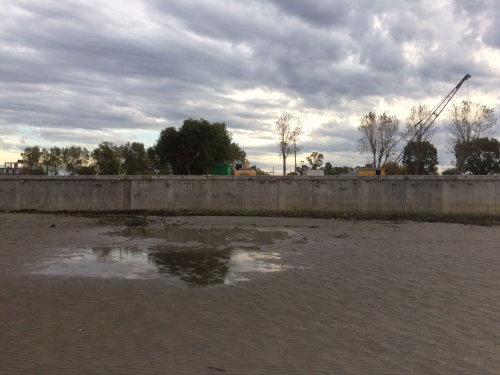 Vecinos de Punta Lara se mostraron en desacuerdo con la creación de la "muralla seca": "Están devastando el medio ambiente"