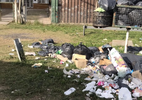 Vecinos de la periferia de La Plata reclaman por la presencia de basurales