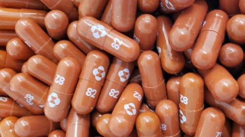Una píldora testeada en Argentina redujo a la mitad las muertes en casos graves de COVID-19