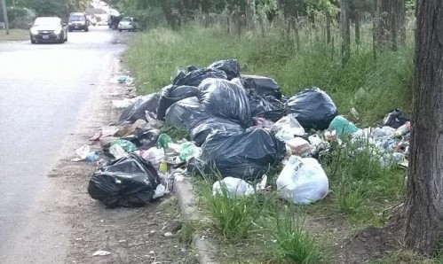 Vecinos de Los Hornos piden un conteiner de basura en 148 y 62: “Hicimos una nota vecinal pero no tenemos respuesta”