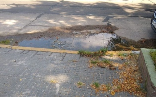 "Si no lo arreglan se termina rompiendo y levantando las baldosas": vecinos de 37 y 14 se quejan por una cañería rota