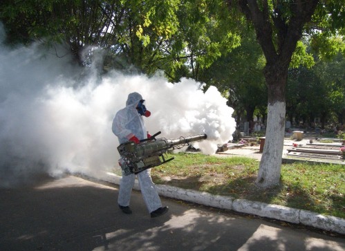 Provincia informó que hay circulación autóctona de dengue en 15 municipios: Berazategui lidera el número de casos