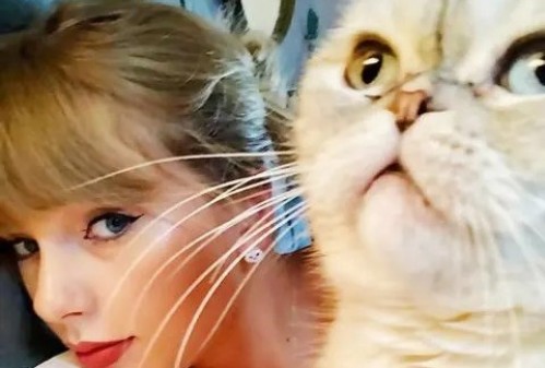Es millonaria la michi: La gata de Taylor Swift tiene una fortuna valuada en 97 millones de dólares