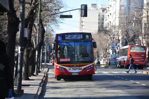 Se oficializó la suba de los micros y trenes en La Plata desde el 1 de enero