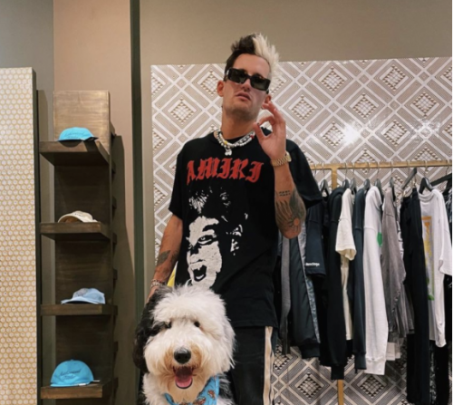 Ricky Montaner y Stefi Roitman fueron al shopping con su enorme mascota