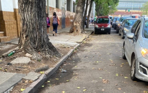 La Plata es adicta y no lo sabíamos: una vecino dejó en evidencia un grave problema en la ciudad