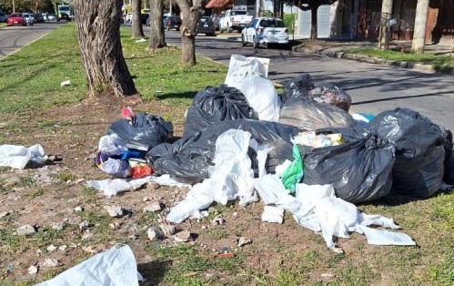 "Tiran residuos de un geriátrico en la esquina de un colegio": vecinos de 149 y 65 reclamaron por un basural