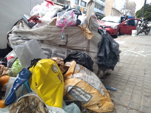 Vecinos del centro de La Plata reclaman por un "rejunte de basura"