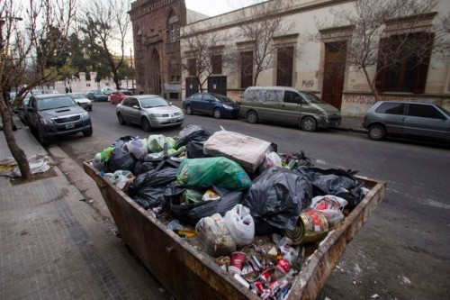 Lo encontraron revolviendo la basura en La Plata y se llevaron una sorpresa: "Tengo el corazón roto"