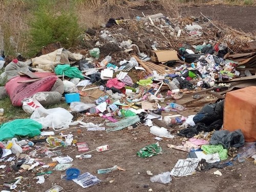 Enorme basural en un descampado de Tolosa preocupa a los vecinos