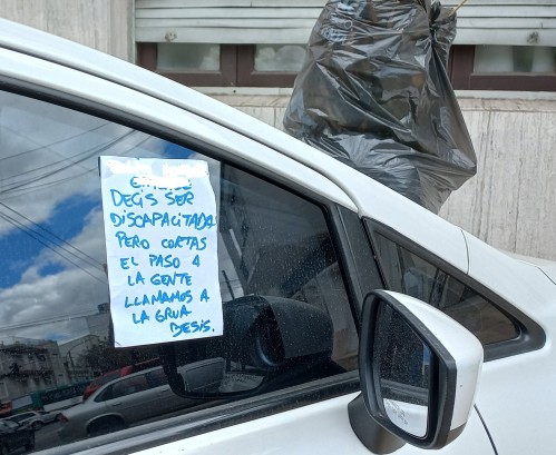 Vecinos acusan a una señora de hacerse la discapacitada para poder estacionar en cualquier lado: "Llamamos a la grúa. Besis"