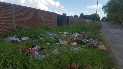 “Nadie limpia”: el reclamo de los vecinos de 530 entre 26 y 27 por la acumulación de basura