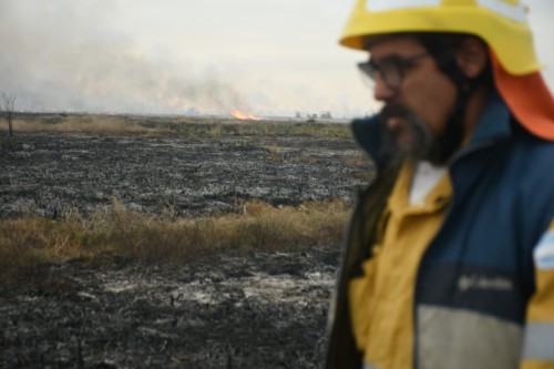 Fango, pastizales y fuertes vientos: el arduo trabajo de bomberos para apagar el incendio en la Reserva Natural de Punta Lara