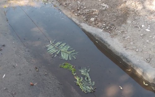Vecinos de Berisso reclaman por pérdidas de agua