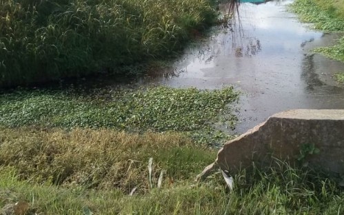 Vecinos de Sicardi preocupados por la falta de contención en un arroyo
