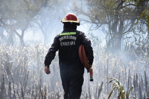 Impresionante incendio forestal en la Reserva Natural de Punta Lara