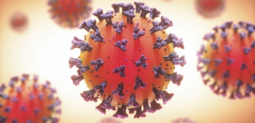 Descubrieron un anticuerpo que neutraliza a las variantes del coronavirus, inclusive la Delta