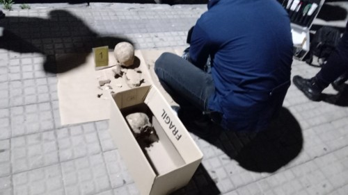 Un grupo de chicas encontró cráneos y restos óseos en una pensión universitaria de La Plata
