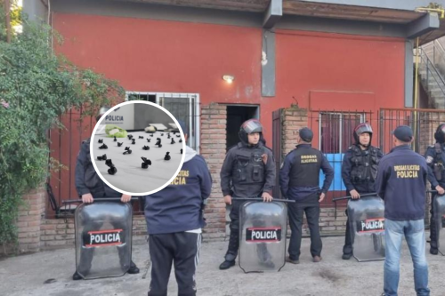 Desbarataron una peligrosa banda que se dedicaba a vender drogas en La Plata