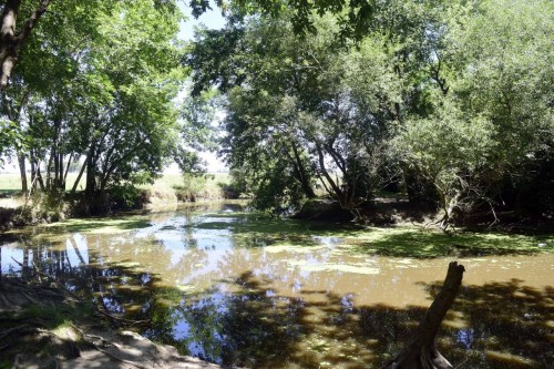 La Justicia ordenó frenar y suspender las obras en el humedal del arroyo El Pescado