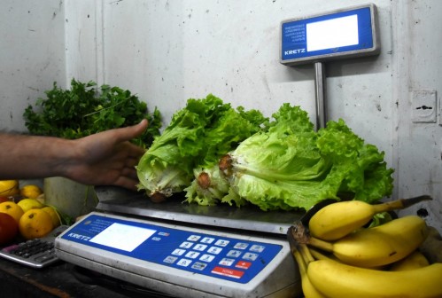 Inflación: el kilo de lechuga ya se vende a 1200 pesos en La Plata