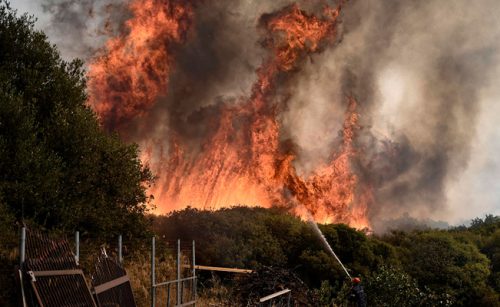 Incendios en Grecia: el más grande del que se tenga registro en la Unión Europea