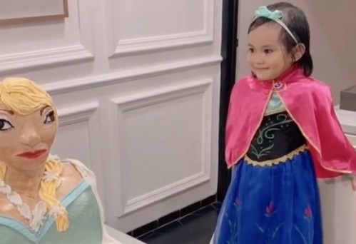Puede fallar, una nena quedó muy sorprendida luego de recibir una torta de una 'Elsa falsa'